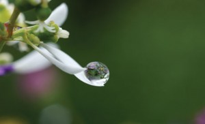 Challenges are healed from deep internal sources.